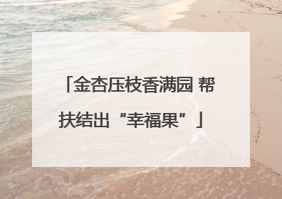 金杏压枝香满园 帮扶结出“幸福果”