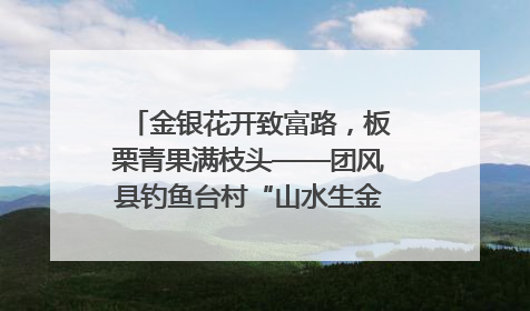 金银花开致富路，板栗青果满枝头——团风县钓鱼台村“山水生金”谱写共富新篇章
