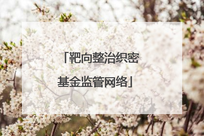 靶向整治织密基金监管网络