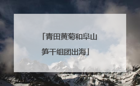 青田黄菊和阜山笋干组团出海