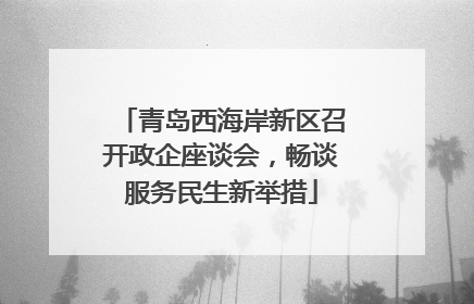 青岛西海岸新区召开政企座谈会，畅谈服务民生新举措