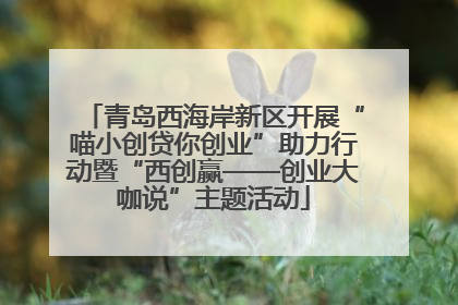 青岛西海岸新区开展“喵小创贷你创业”助力行动暨“西创赢——创业大咖说”主题活动