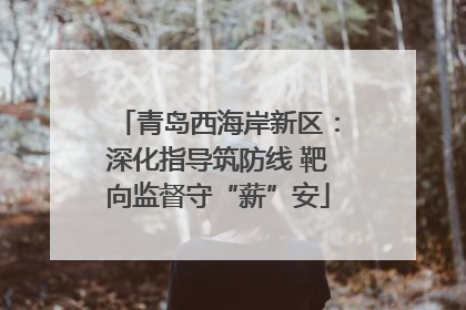 青岛西海岸新区：深化指导筑防线 靶向监督守“薪”安