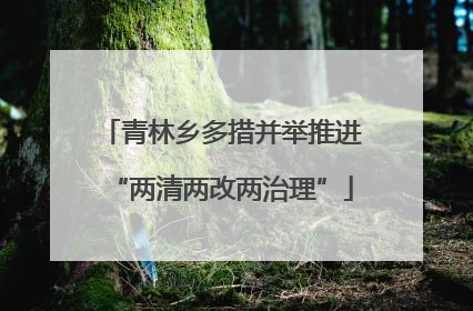 青林乡多措并举推进“两清两改两治理”