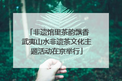 非遗馆里茶韵飘香 武夷山水非遗茶文化主题活动在京举行