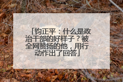 钧正平：什么是政治干部的好样子？被全网赞扬的他，用行动作出了回答