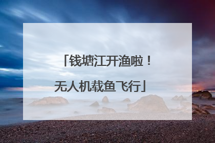 钱塘江开渔啦！无人机载鱼飞行