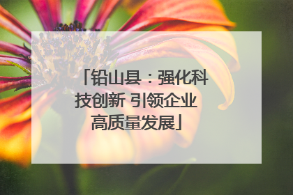铅山县：强化科技创新 引领企业高质量发展