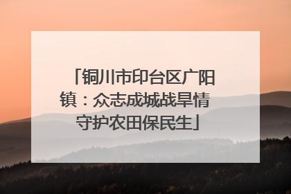 铜川市印台区广阳镇：众志成城战旱情 守护农田保民生