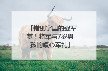 错别字里的强军梦！将军与7岁男孩的暖心军礼