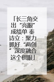长三角交出“亮眼”成绩单 秦诗立：聚力抓好“两创”深度融合这个棋眼