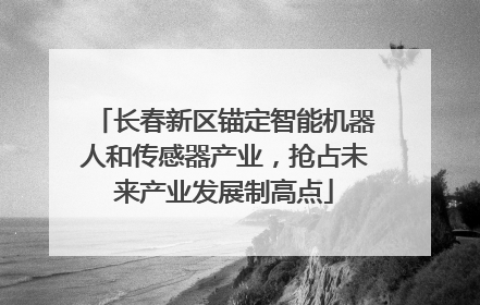 长春新区锚定智能机器人和传感器产业，抢占未来产业发展制高点