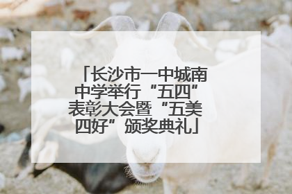 长沙市一中城南中学举行“五四”表彰大会暨“五美四好”颁奖典礼