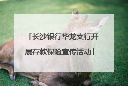 长沙银行华龙支行开展存款保险宣传活动
