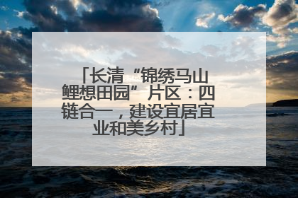 长清“锦绣马山 鲤想田园”片区：四链合一，建设宜居宜业和美乡村