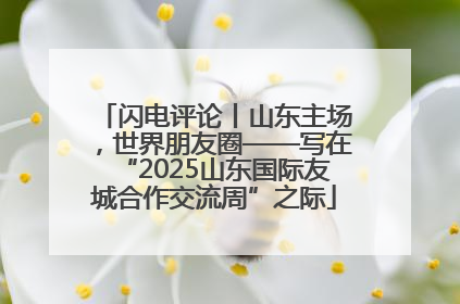 闪电评论丨山东主场，世界朋友圈——写在“2025山东国际友城合作交流周”之际
