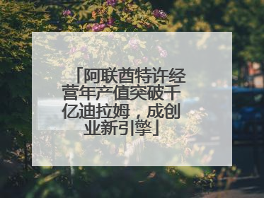 阿联酋特许经营年产值突破千亿迪拉姆，成创业新引擎