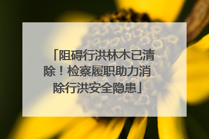 阻碍行洪林木已清除！检察履职助力消除行洪安全隐患