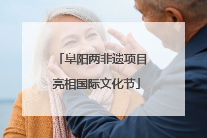 阜阳两非遗项目亮相国际文化节