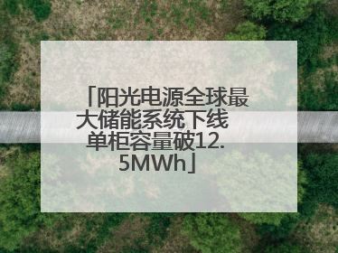 阳光电源全球最大储能系统下线 单柜容量破12.5MWh