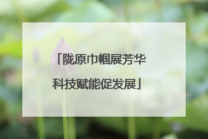 陇原巾帼展芳华 科技赋能促发展