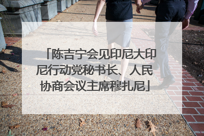 陈吉宁会见印尼大印尼行动党秘书长、人民协商会议主席穆扎尼