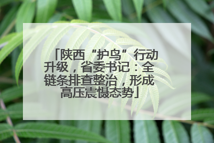 陕西“护鸟”行动升级，省委书记：全链条排查整治，形成高压震慑态势