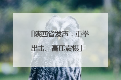 陕西省发声：重拳出击、高压震慑