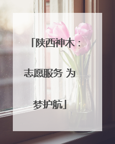陕西神木：志愿服务 为梦护航