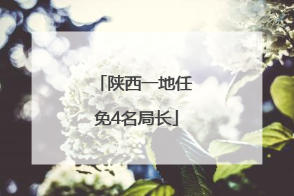 陕西一地任免4名局长
