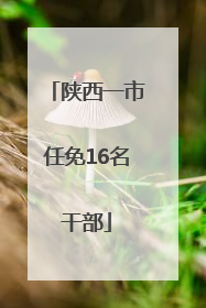 陕西一市任免16名干部