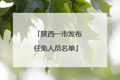 陕西一市发布任免人员名单