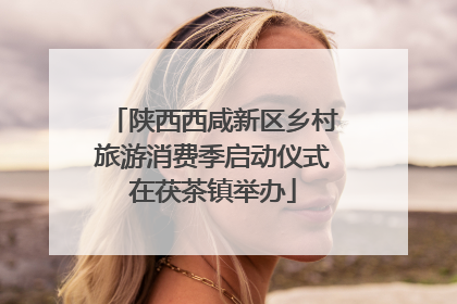 陕西西咸新区乡村旅游消费季启动仪式在茯茶镇举办