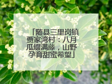 随县三里岗镇贾家湾村：八月瓜缀满藤，山野孕育甜蜜希望
