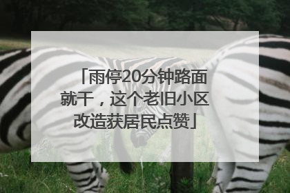 雨停20分钟路面就干，这个老旧小区改造获居民点赞