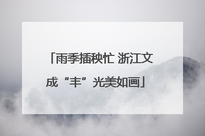 雨季插秧忙 浙江文成“丰”光美如画