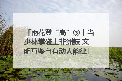 雨花登“高”③｜当少林拳碰上非洲鼓 文明互鉴自有动人韵律