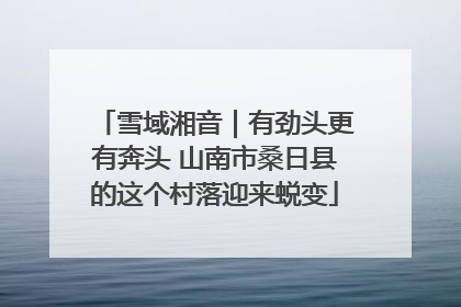 雪域湘音｜有劲头更有奔头 山南市桑日县的这个村落迎来蜕变