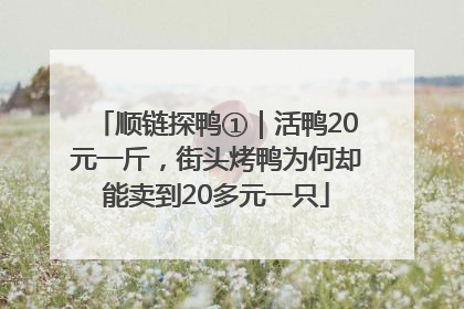 顺链探鸭①｜活鸭20元一斤，街头烤鸭为何却能卖到20多元一只