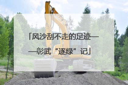 风沙刮不走的足迹——彰武“逐绿”记