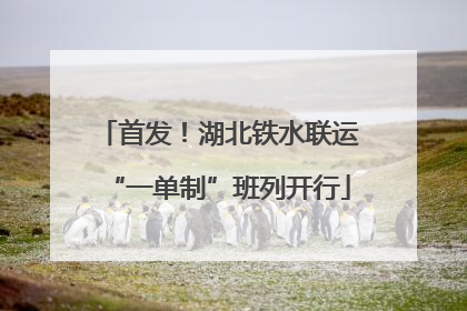 首发！湖北铁水联运“一单制”班列开行