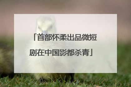 首部怀柔出品微短剧在中国影都杀青