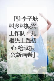 驻李子塘村乡村振兴工作队：扎根热土践初心 绘就振兴新画卷