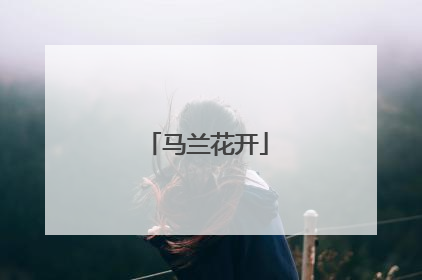 马兰花开