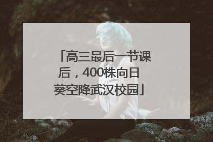 高三最后一节课后，400株向日葵空降武汉校园