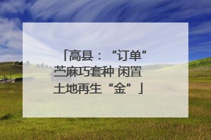 高县：“订单”苎麻巧套种 闲置土地再生“金”