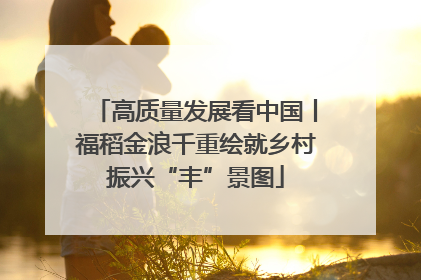 高质量发展看中国丨福稻金浪千重绘就乡村振兴“丰”景图