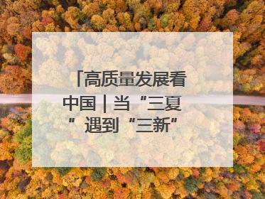 高质量发展看中国｜当“三夏”遇到“三新”：看南北田野里的科技共生记