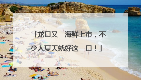 龙口又一海鲜上市，不少人夏天就好这一口！