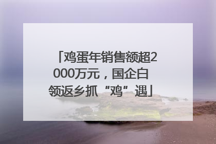 鸡蛋年销售额超2000万元，国企白领返乡抓“鸡”遇